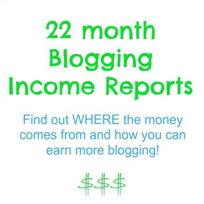 22 month blogging income